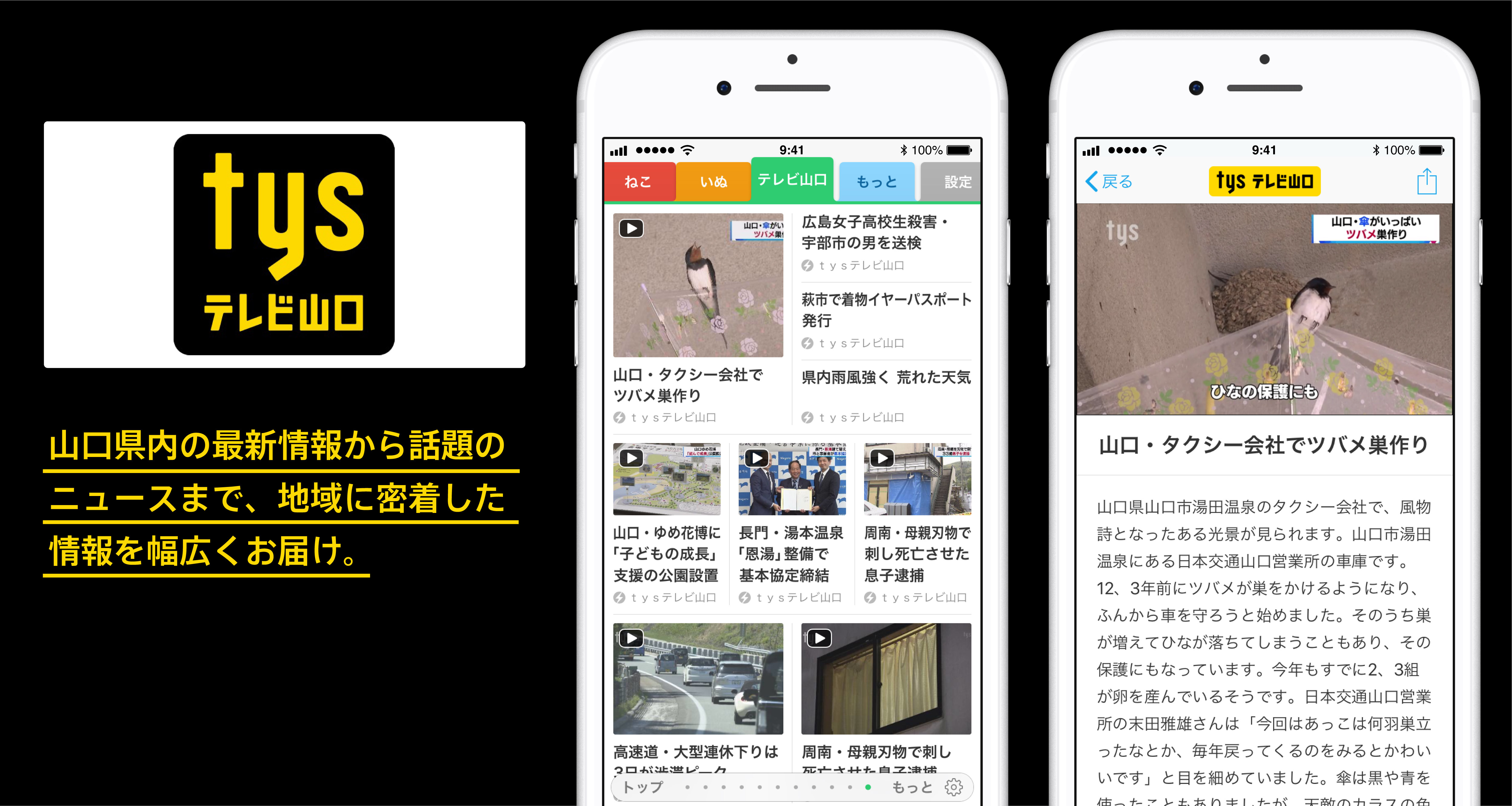 release_tvyamaguchi-02